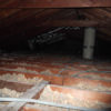 Attic Mold Remediation in Naperville, IL