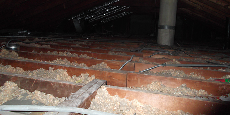 Attic Mold Remediation in Naperville, IL