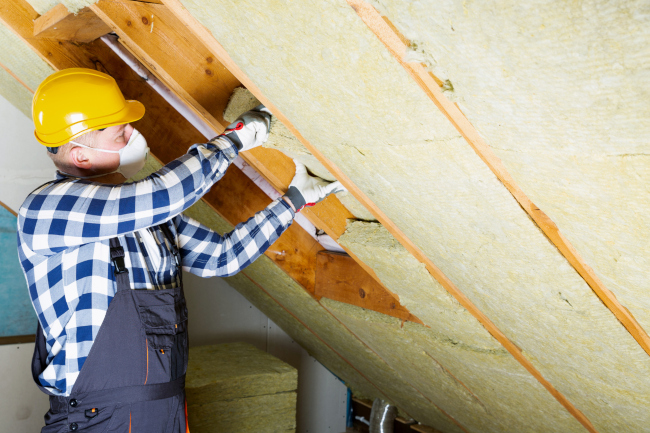 Why You Need Professional Insulation Removal