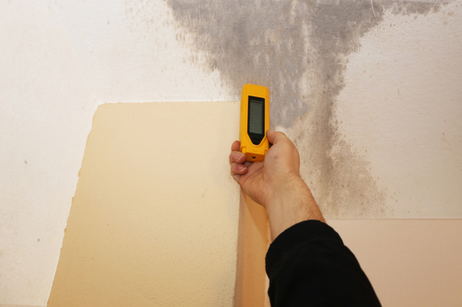 Mold Remediation Tips and How to Prevent Further Mold Growth