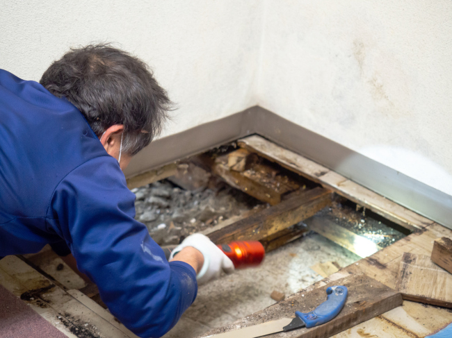 Three Reasons to Seek Professional Mold Removal