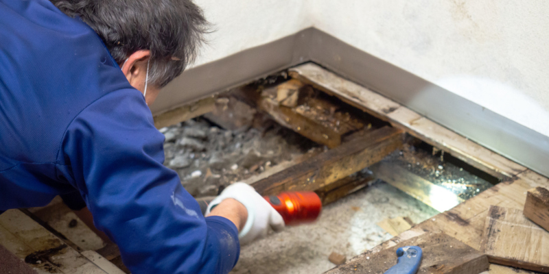 protect yourself when performing mold removal