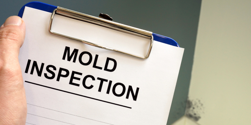 Four Times When You Need a Mold Inspection