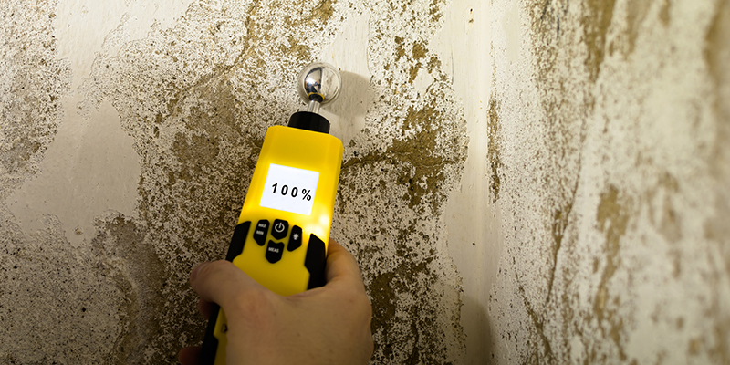 Basement Mold Remediation | ARC Insulation | Naperville and Chicagoland, IL - Basement Mold Remediation Solutions