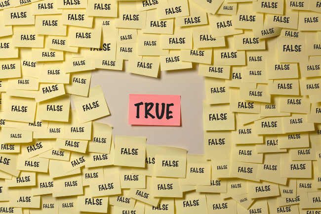 Common Misconceptions About Mold Remediation