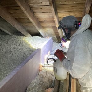 The Correlation Between Mold Removal and Energy Efficiency