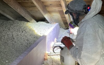 The Correlation Between Mold Removal and Energy Efficiency