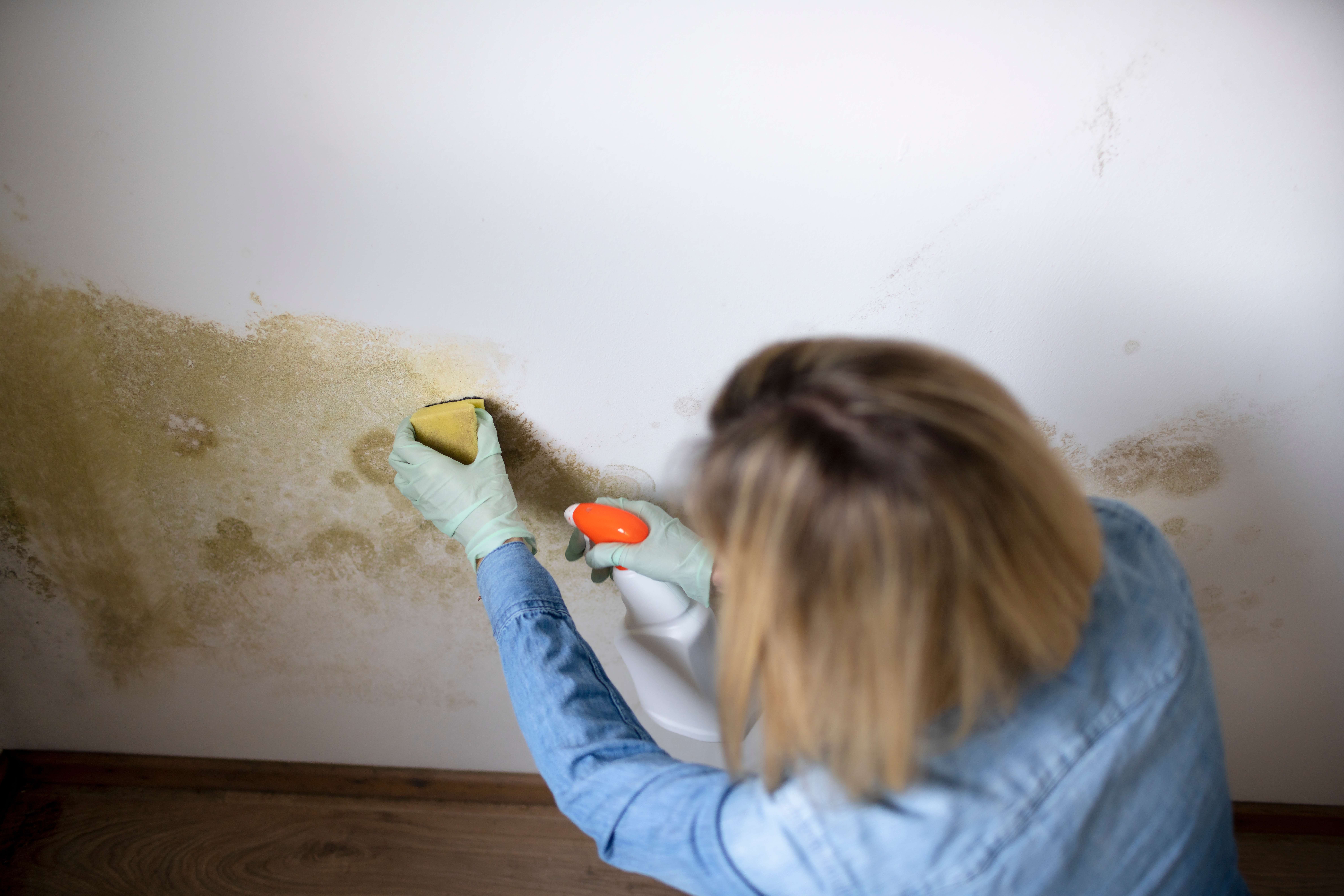 Should You Tackle Basement Mold Removal Yourself?