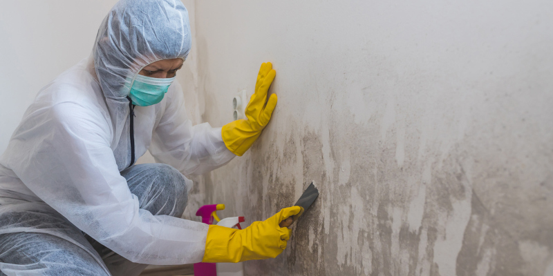 Mold Remediation 101