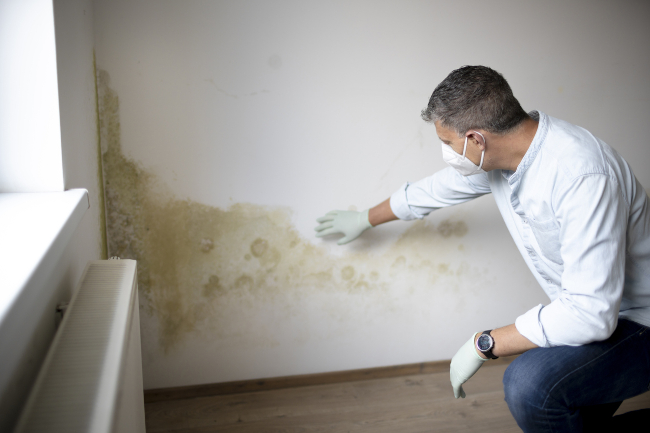 A Guide to Our Mold Services
