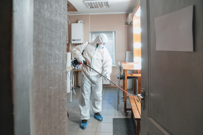 What Are The Most Important Parts of Mold Remediation?