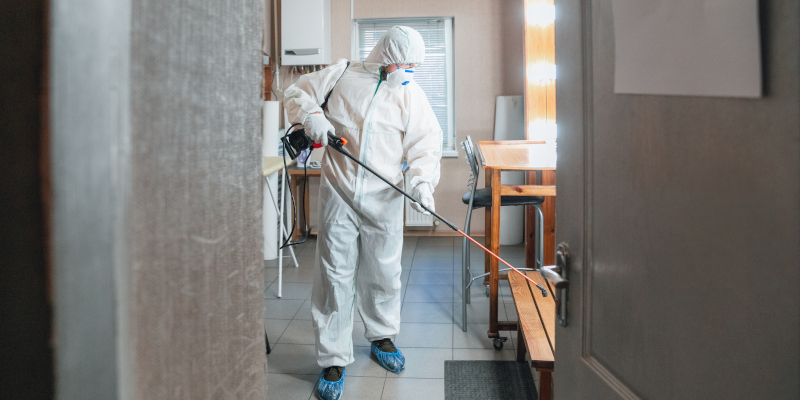 What Are The Most Important Parts of Mold Remediation?