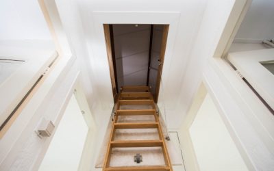 Attic Mold Remediation: Why You Need a Pro