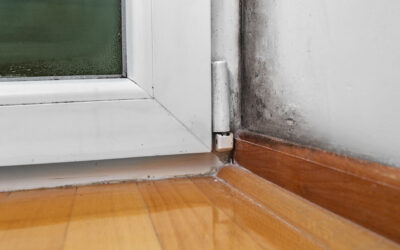 Can Mold Growth Still Happen in Winter?