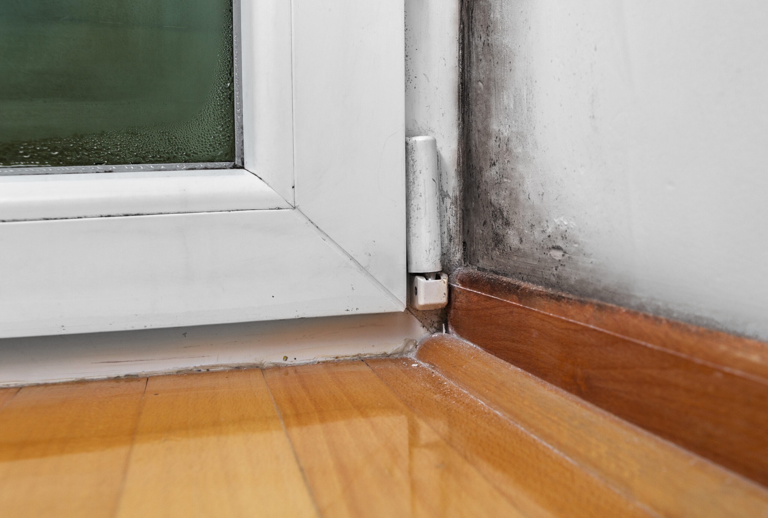 Can Mold Growth Still Happen in Winter?