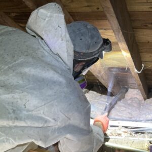 Springtime Mold Problems and How to Fix Them