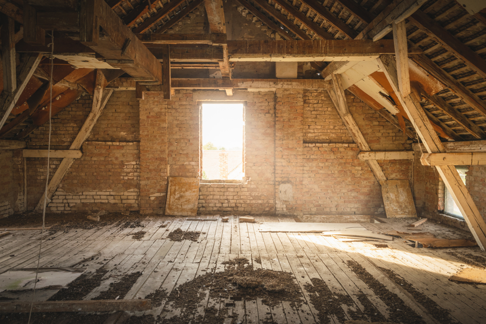 How Do You Get Rid of Mold in the Attic?