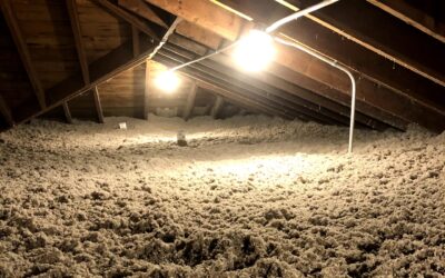 Does Attic Insulation Work in the Summer?