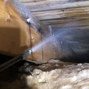 Mold in Your Home? Why Professional Mold Remediation Matters & How to Prevent It From Coming Back