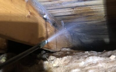Mold in Your Home? Why Professional Mold Remediation Matters & How to Prevent It From Coming Back